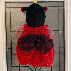 Brand New Ladybug Costume for Infants ages 6-9 months